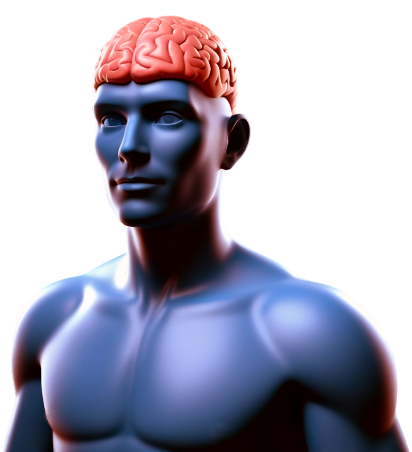 3D Human